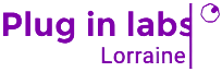 2026 Logo PlugInLabs